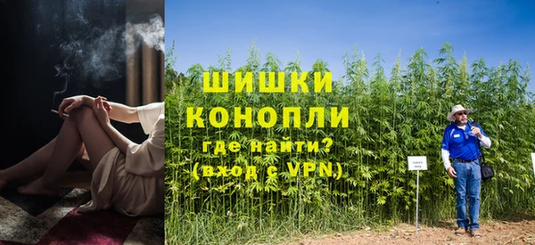 сатива Нефтегорск
