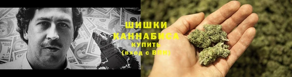 сатива Нефтегорск