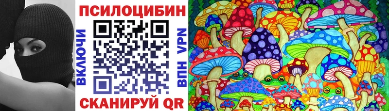 где можно купить наркотик  Окуловка  Псилоцибиновые грибы Psilocybine cubensis 